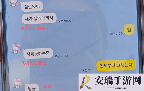 妈妈我爱你！韩国撞墙客机乘客遇难前给母亲发消息