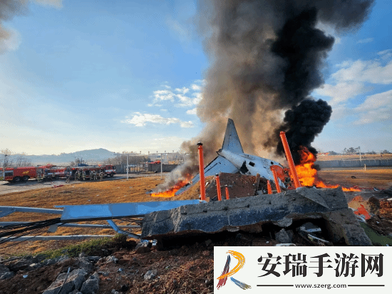 韩国撞墙客机乘客名单公布