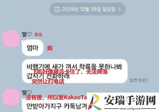 妈妈我爱你！韩国撞墙客机乘客遇难前给母亲发消息