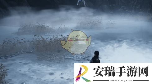 燕云十六声白狼主boss怎么打