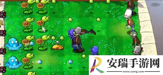 植物大战僵尸杂交版前院告急第5关怎么通关
