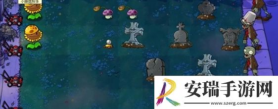 植物大战僵尸杂交版前院告急第9关怎么通关
