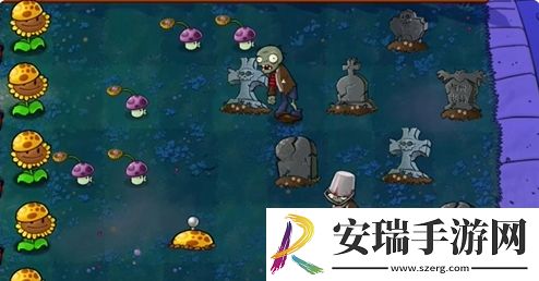 植物大战僵尸杂交版前院告急第9关怎么通关