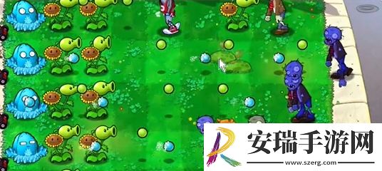 植物大战僵尸杂交版前院告急第5关怎么通关