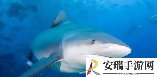 你敢信吗