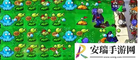 植物大战僵尸杂交版前院告急第5关怎么通关