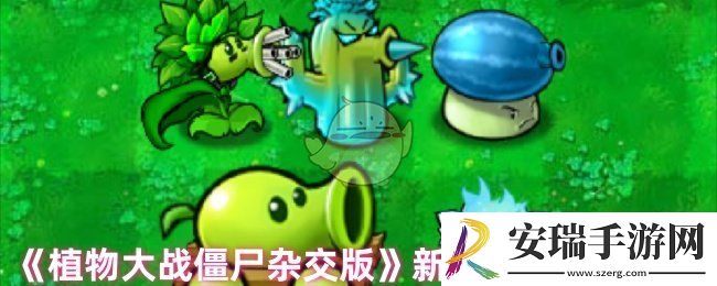 植物大战僵尸杂交版地刺伞怎么样