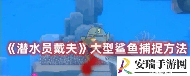 潜水员戴夫怎么捕捉大型鲨鱼