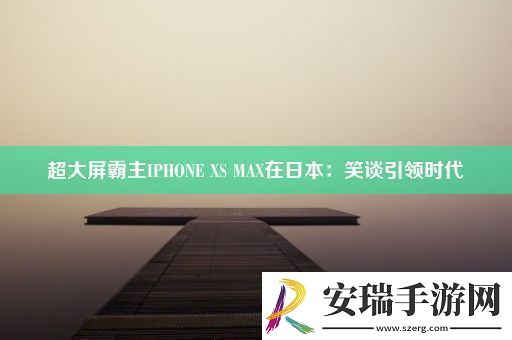 超大屏霸主IPHONEXSMAX在日本