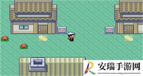 口袋妖怪蓝宝石截图