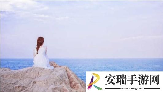 日产欧产美韩区别316完整版截图