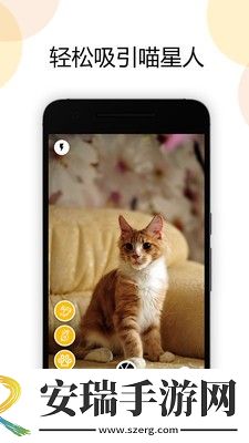 猫截图