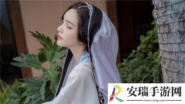 成视人免费日韩版截图