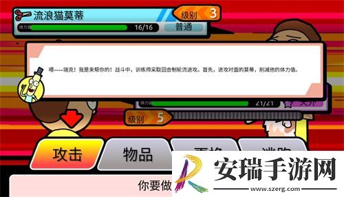 口袋莫蒂