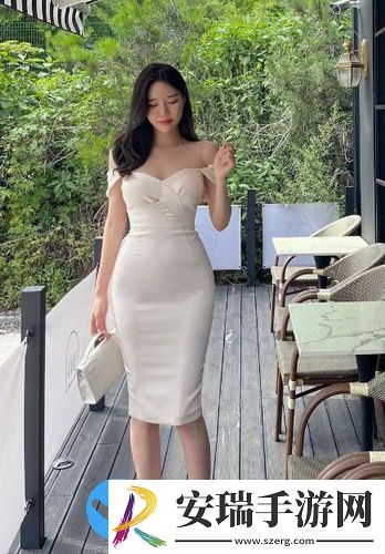 免费的网页入口无需下载高清版截图