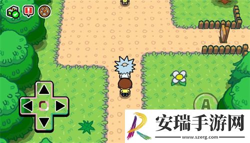口袋莫蒂