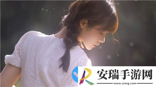 在线免费源码资源源码站深夜版截图