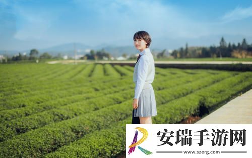 永久观看不收费的直播午夜版截图