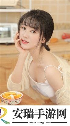 wordpress永久免费日韩版截图