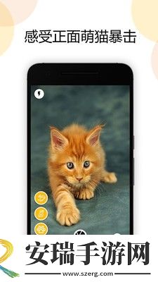 猫截图