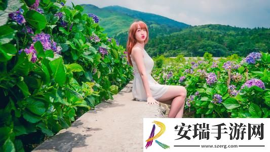 国产射频低噪声放大器芯片截图