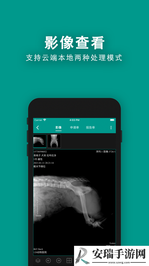 慧龙兽医影像截图