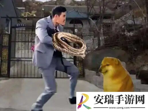 嘎子偷狗表情包