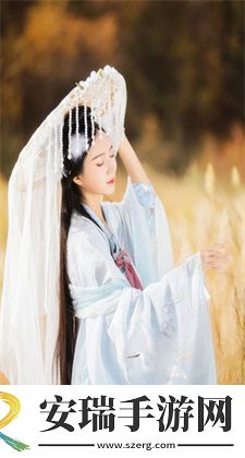 永久免费access进销存软件优享版
