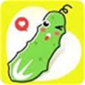 黄瓜视频app安卓版