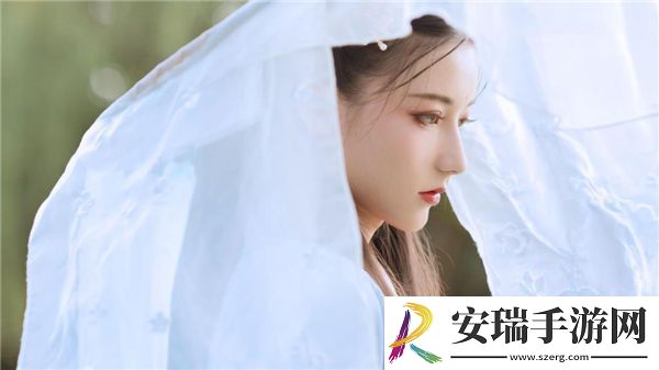 动漫女装大襟上衣dt网站截图
