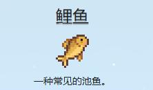 星露谷物语鲤鱼在哪收集