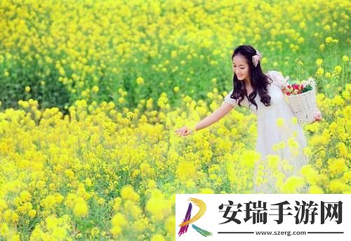 小妲己福湿地福利院截图
