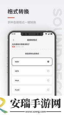 保密录音机截图