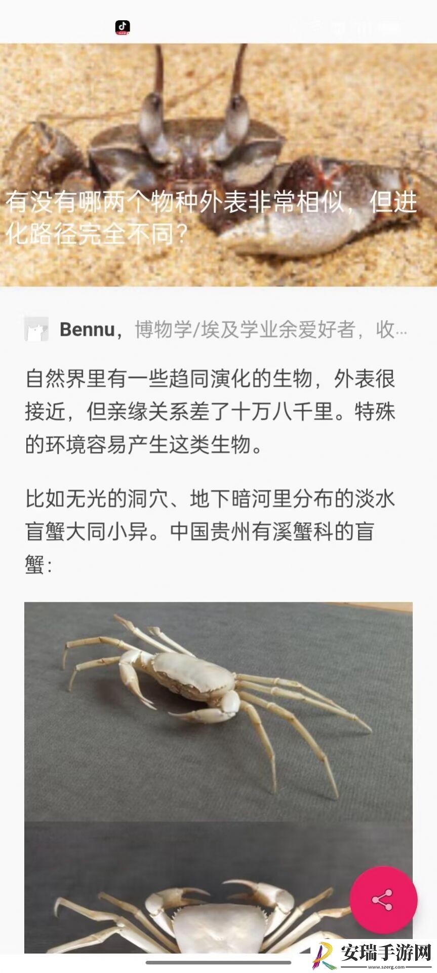 Super图影库截图