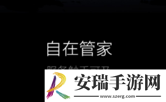 自在管家app安装