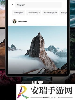 Pexels素材网站截图