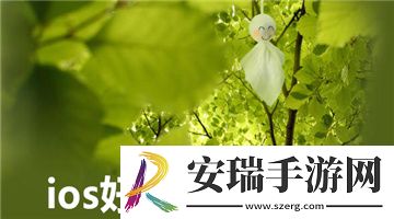 三叶草官网在线免费观看中文版在线看下载-三叶草官网在线免费观看中文版在线看下载